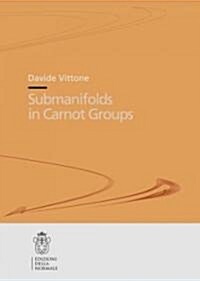 Submanifolds in Carnot Groups (Paperback)