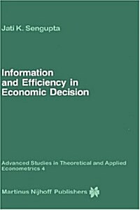 Information and Efficiency in Economic Decision (Hardcover)