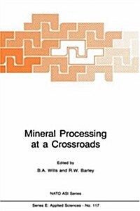 Mineral Processing at a Crossroads: Problems and Prospects (Hardcover, 1986)