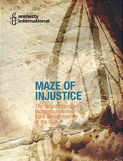 Maze of Injustice (Paperback)