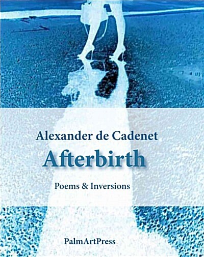 Afterbirth (Paperback)