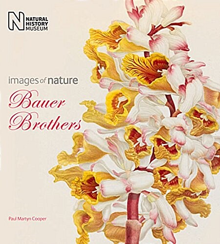 The Bauer Brothers : Images of Nature (Paperback)