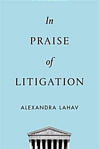 In Praise of Litigation (Hardcover)
