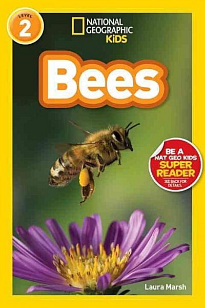 [중고] Bees (Paperback)