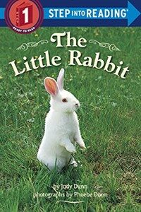 The Little Rabbit (Library Binding)