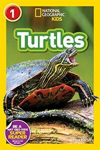 Turtles (Library Binding)