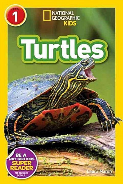 [중고] Turtles (Paperback)