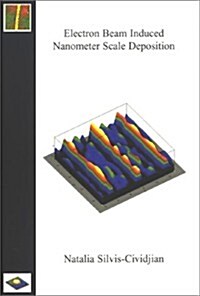 Electron Beam Induced Nanometer Scale Deposition (Paperback)