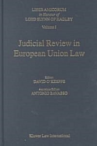 Judicial Review in European Union Law (Hardcover)