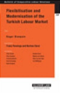 Flexibilisation and Modernisation of the Turkish Labour Market (Paperback)