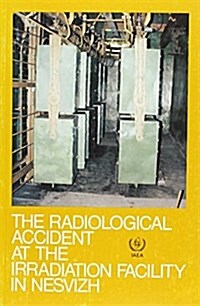 Radiological Accident at the Irradiation Facility in Nesvizh - Belarus (Paperback)