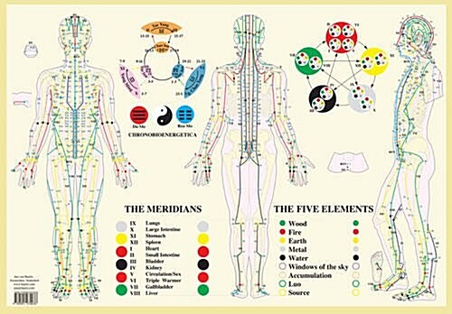 Meridians / Five Elements -- A2 (Poster)