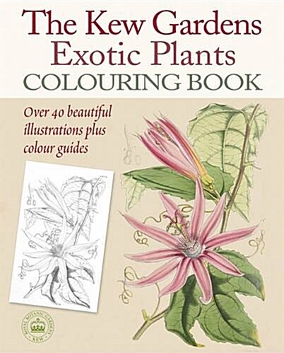 Kew Gardens Exotic Plants Colouring Book (Paperback)
