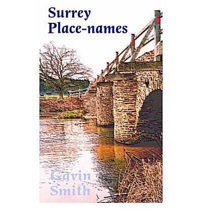 Surrey Place-names (Paperback)