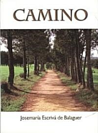 Camino/ Path (Paperback)