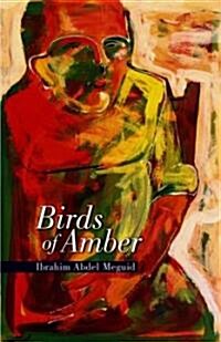 Birds of Amber (Hardcover)