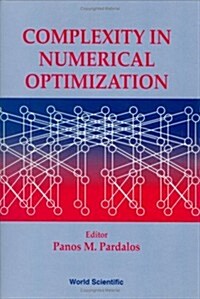 Complexity in Numerical Optimization (Hardcover)