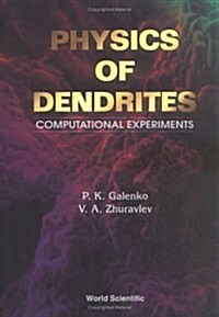 Physics of Dendrites: Computational Experiments (Hardcover)