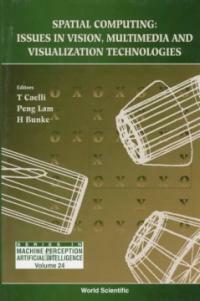 Spatial computing : issues in vision, multimedia and visualization technologies