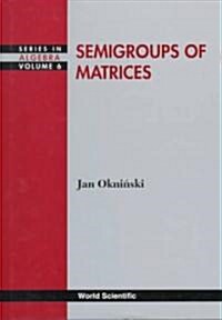 Semigroups of Matrices (Hardcover)