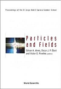 Particles and Fields: Proceedings of the XI Jorge Andre Swieca Summer School (Hardcover)