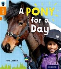 Oxford Reading Tree Infact: Level 6: A Pony for a Day (Paperback)