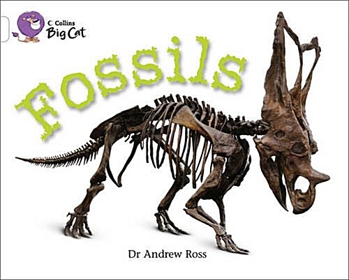 Fossils : Band 10/White (Paperback)