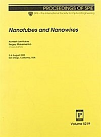 Nanotubes and Nanowires (Paperback)