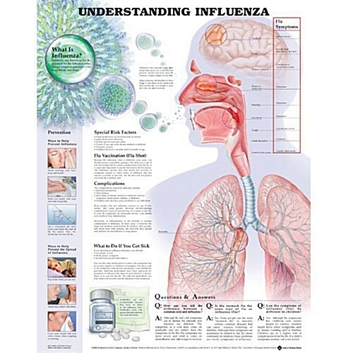 Understanding Influenza (Chart, 1st)