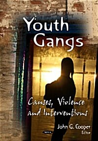 Youth Gangs (Paperback, UK)