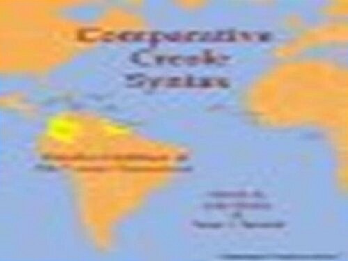 Comparative Creole Syntax : Parallel Outlines of 18 Creole Grammars (Paperback)