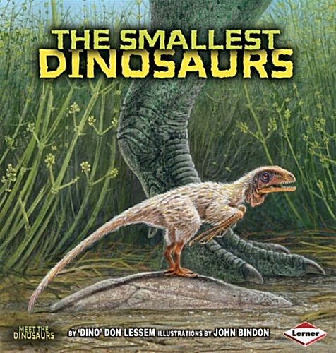 The Smallest Dinosaurs (Paperback)