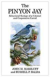 The Pinyon Jay : Behavioral Ecology of a Colonial and Cooperative Corvid (Hardcover)