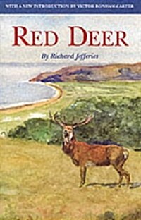 Red Deer (Hardcover)