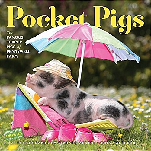 Pocket Pigs: The Famous Teacup Pigs of Pennywell Farm (Wall, 2016)