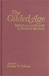 The Gilded Age: Essays on the Origins of Modern America (Hardcover)