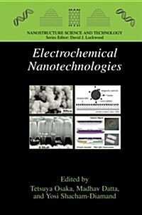 Electrochemical Nanotechnologies (Paperback, 2010)