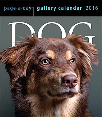 Dog Page-A-Day Gallery Calendar (Daily, 2016)