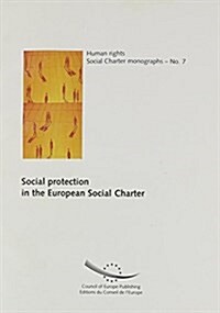 Social Protection in the European Social Charter : Study Compiled on the Basis of the Case Law of the European Committee of Social Rights (Paperback, 2 Rev ed)