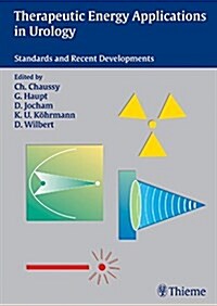 Therapeutic Energy Application in Urology: Standards and Recent Developments (Paperback)