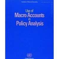 Use of macro accounts in policy analysis