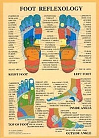 Foot Reflexology (Poster)