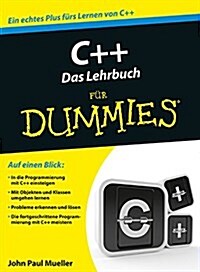 C++ das Lehrbuch Fur Dummies (Paperback)