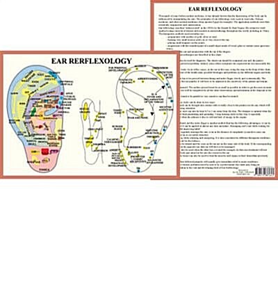 Ear Reflexology - A4 (Poster)