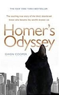 HOMERS ODYSSEY (Paperback)
