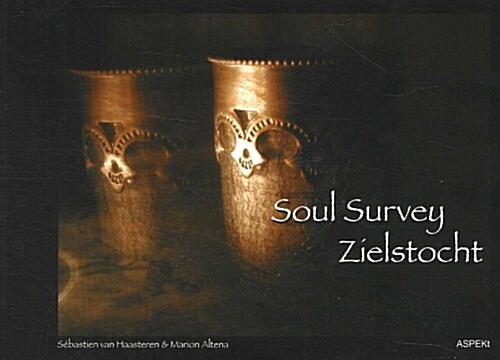 Soul Survey / Zielstocht (Paperback)