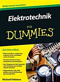 Elektrotechnik Fur Dummies (Paperback)