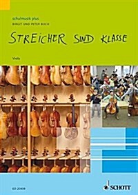 STREICHER SIND KLASSE (Hardcover)