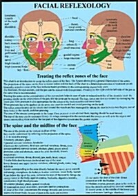 Facial Reflexology (Poster)