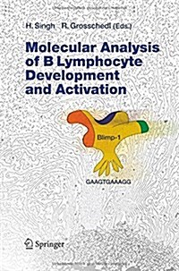 Molecular Analysis of B Lymphocyte Development and Activation (Paperback)